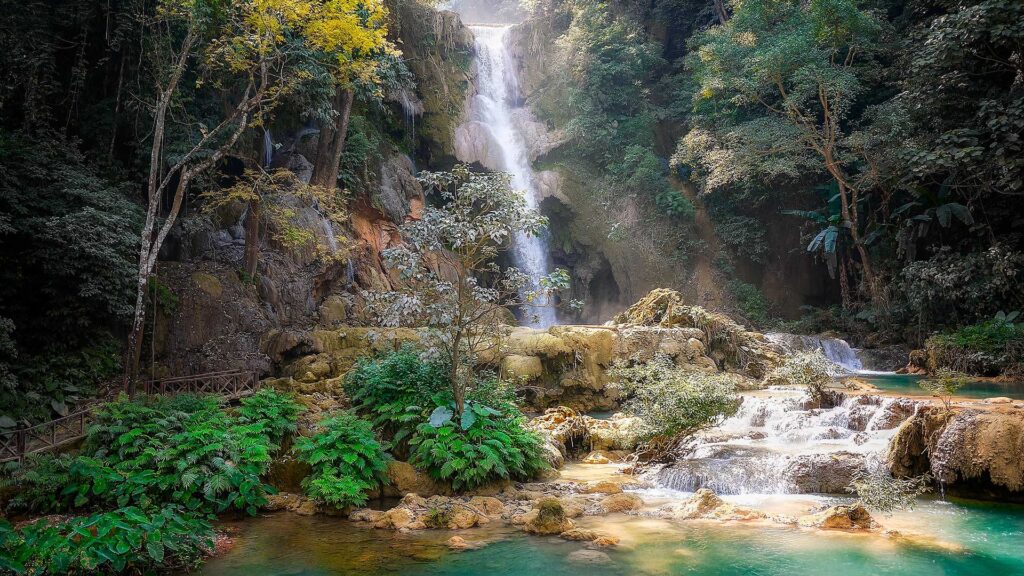 Tropical paradise by Simon Berger