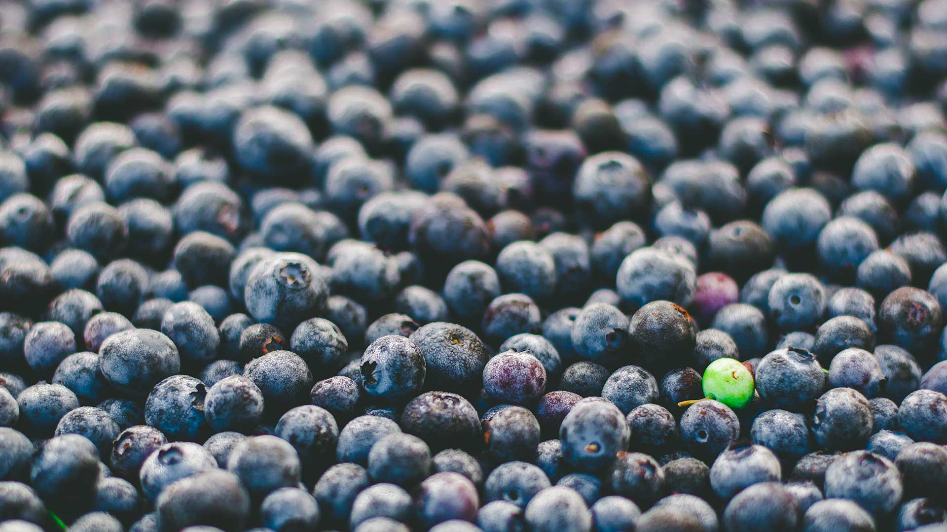 What makes something unique. Photo by Jessica Ruscello on Unsplash