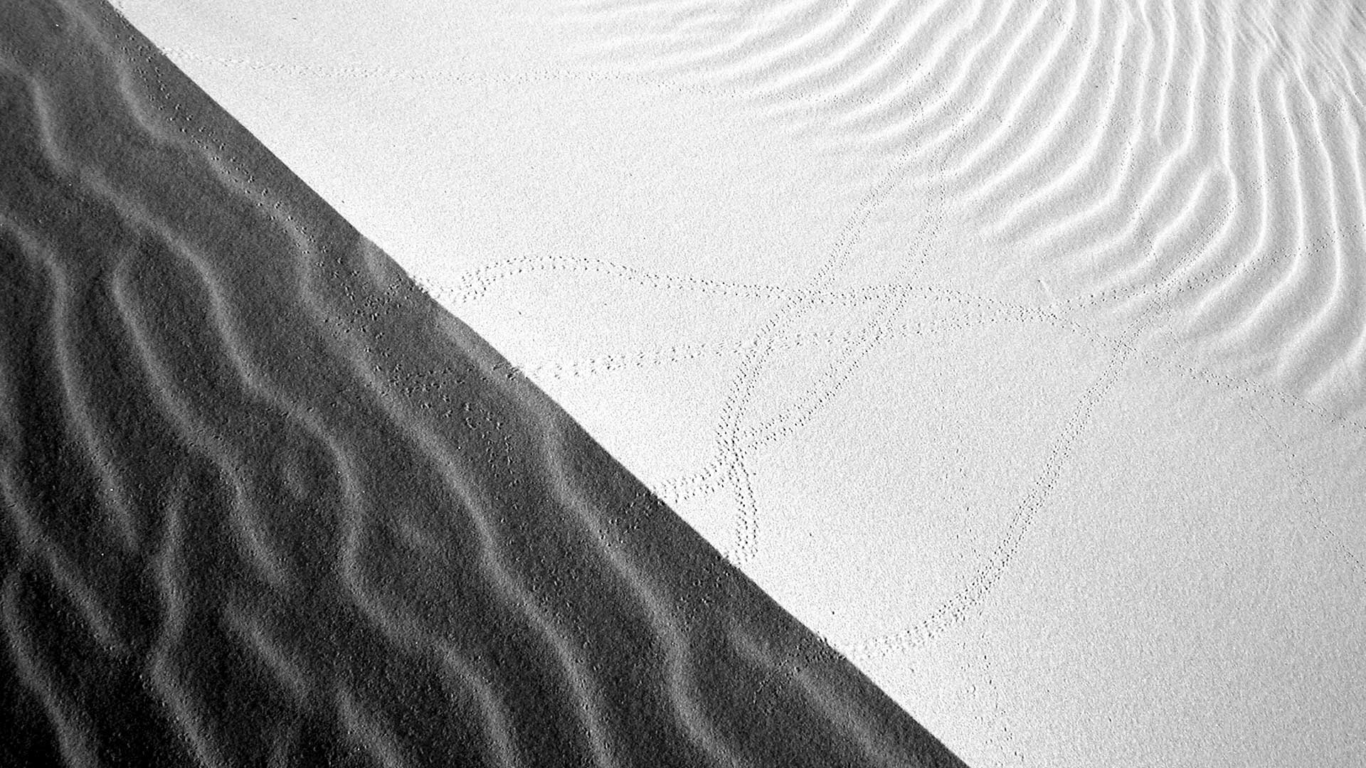 Do Cookies Collect Your Data Do Cookies Collect Your Data